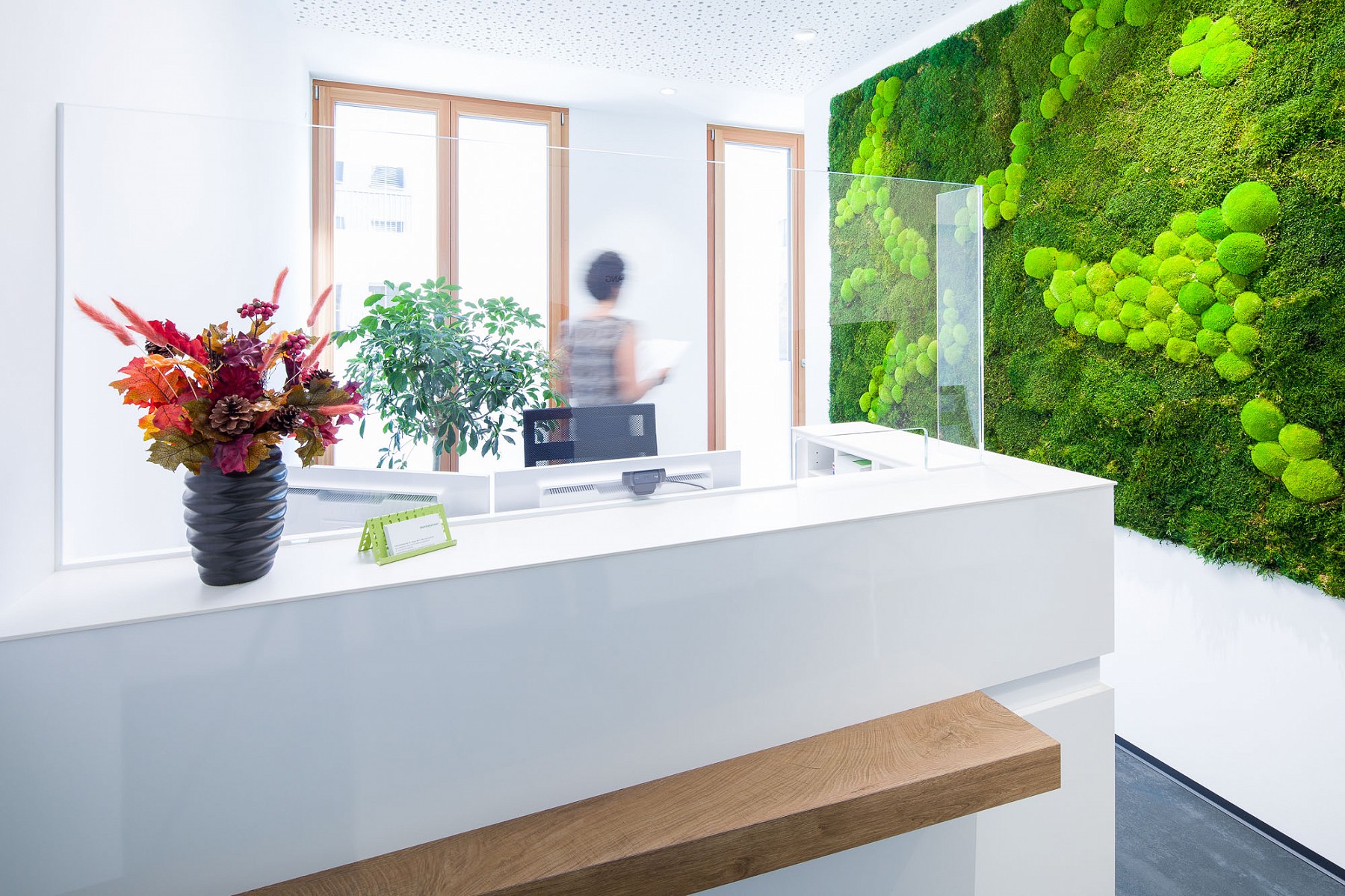 dentalusser – Green Wall – Foto: © Dietmar Walser